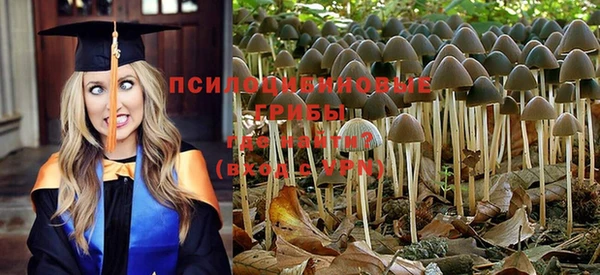 кокс Нефтекумск