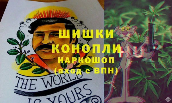 дмт Дмитровск