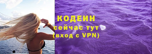 дмт Дмитровск
