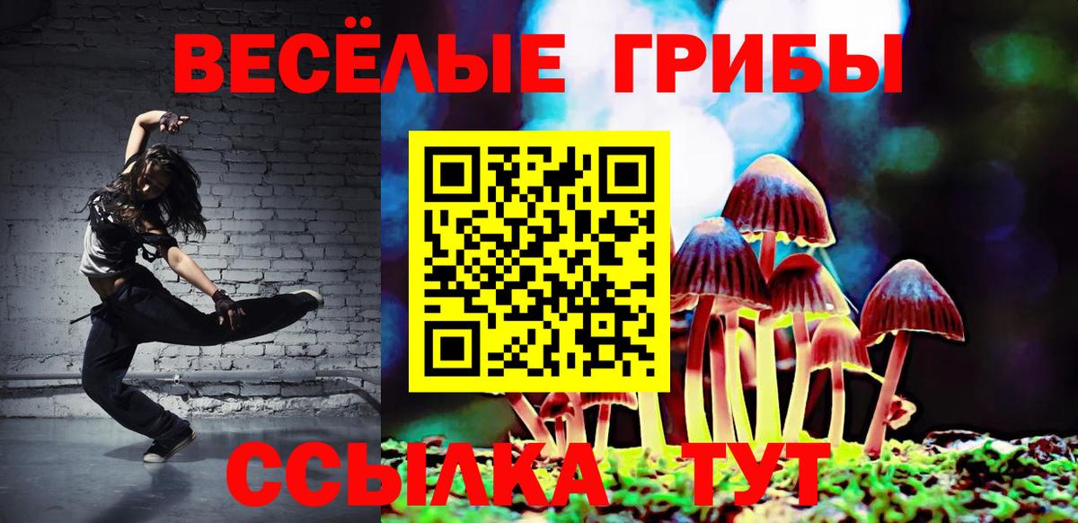 Мирный  купить наркотик  Вход с VPN  Псилоцибиновые грибы Psilocybine cubensis 