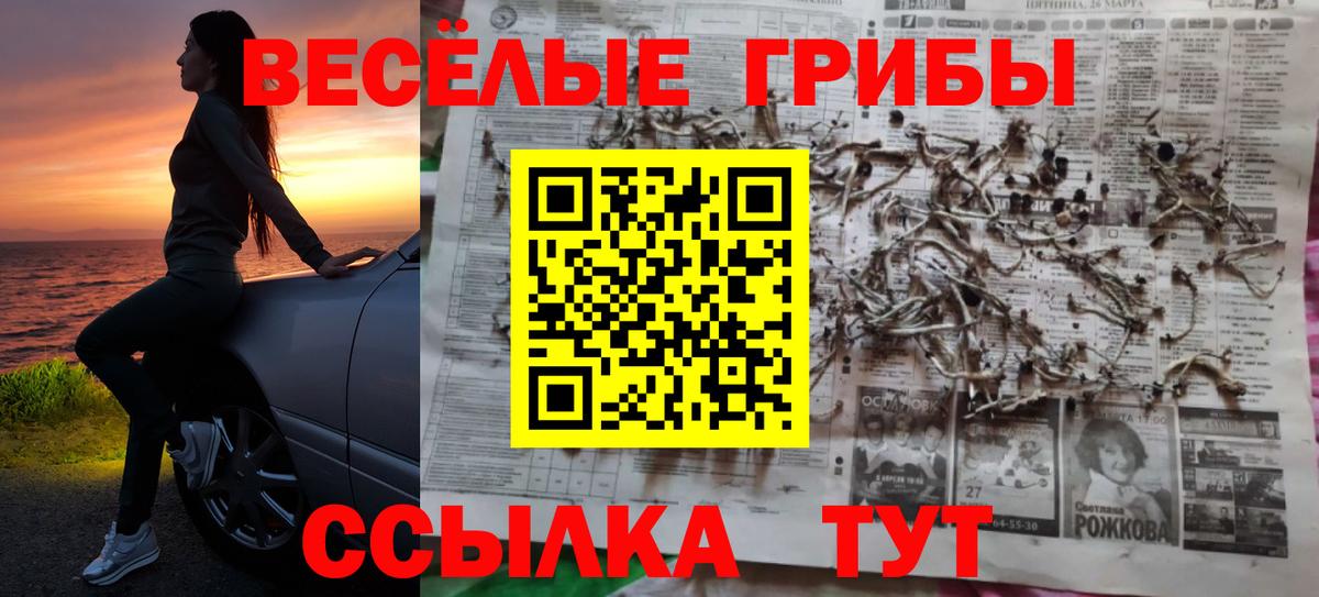 Галлюциногенные грибы ЛСД Мирный